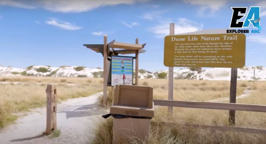 dune-life-nature-trail
