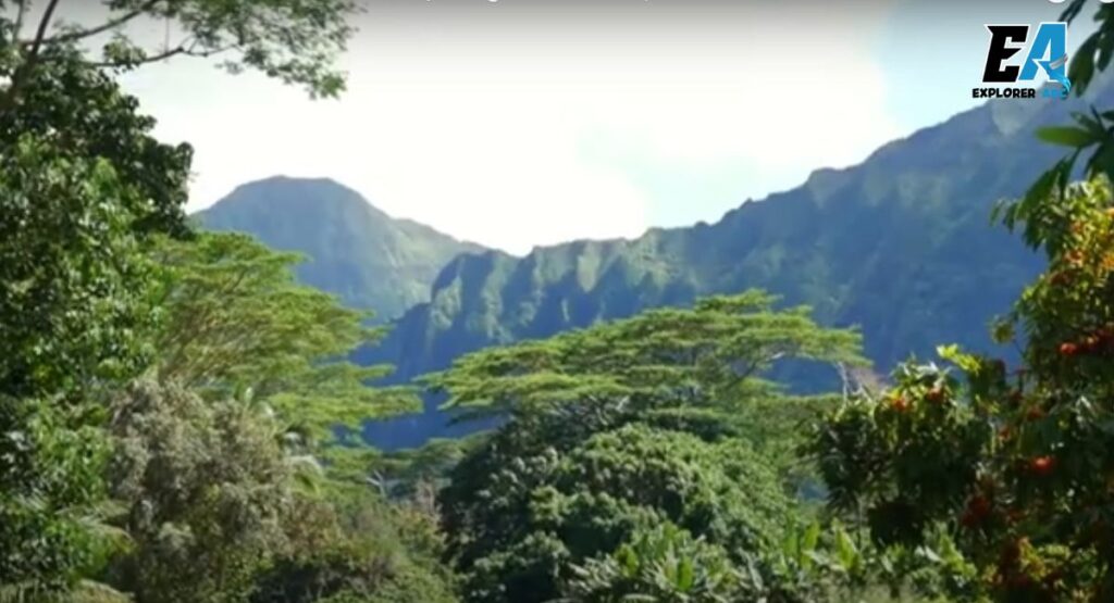 hoomaluhia-botanical-garden