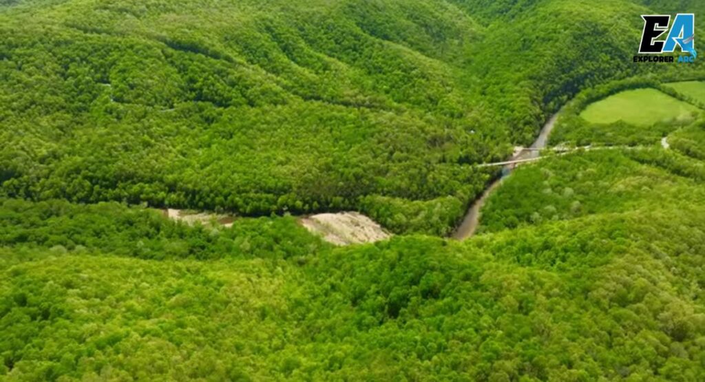 buffalo-river