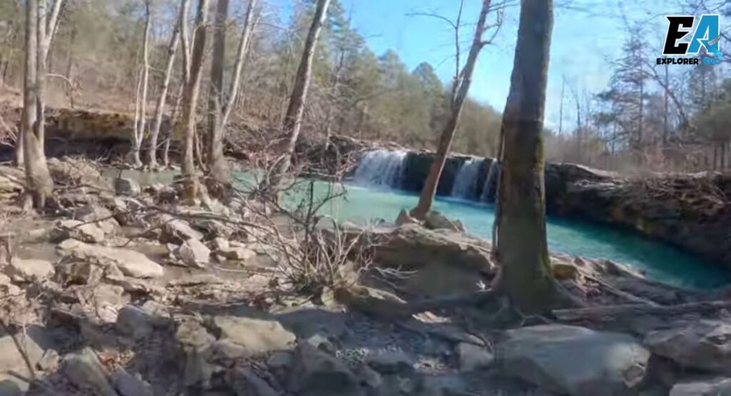 ozark-st-francis-national-forest