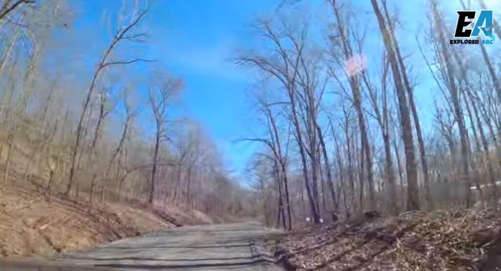 ozark-st-francis-national-forest