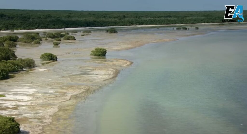 prettiest-places-florida-everglades