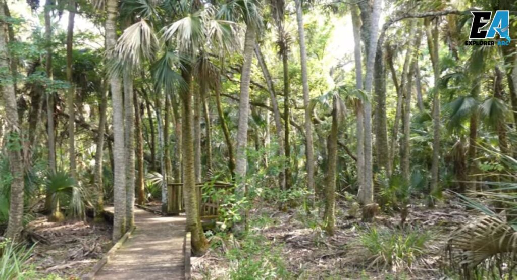 prettiest-places-in-florida-merritt-island-national-wildlife-refuge
